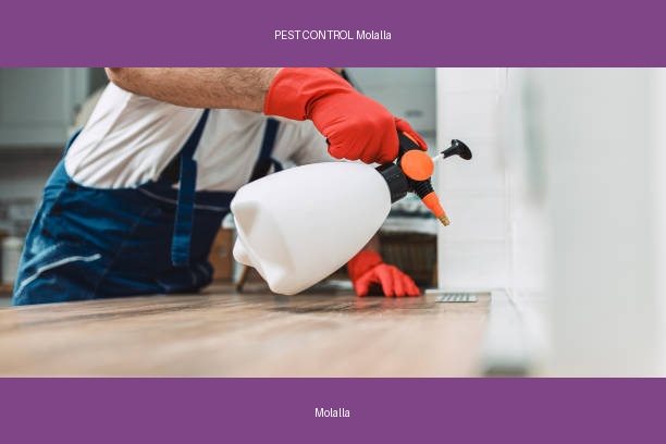 PEST CONTROL Molalla